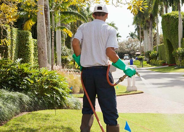 About Brackettville TX Pest Control